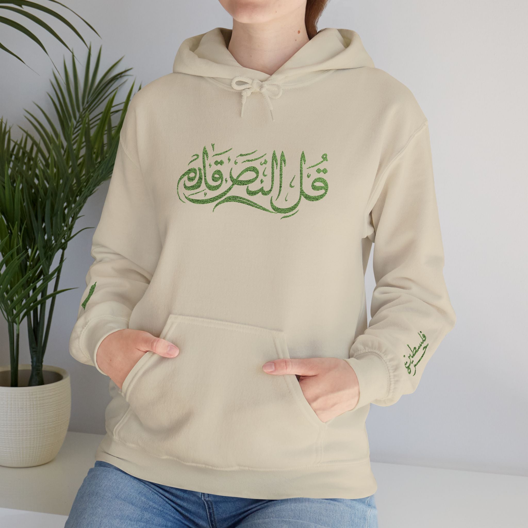 Say Victory's Near Hoodie | Arduna