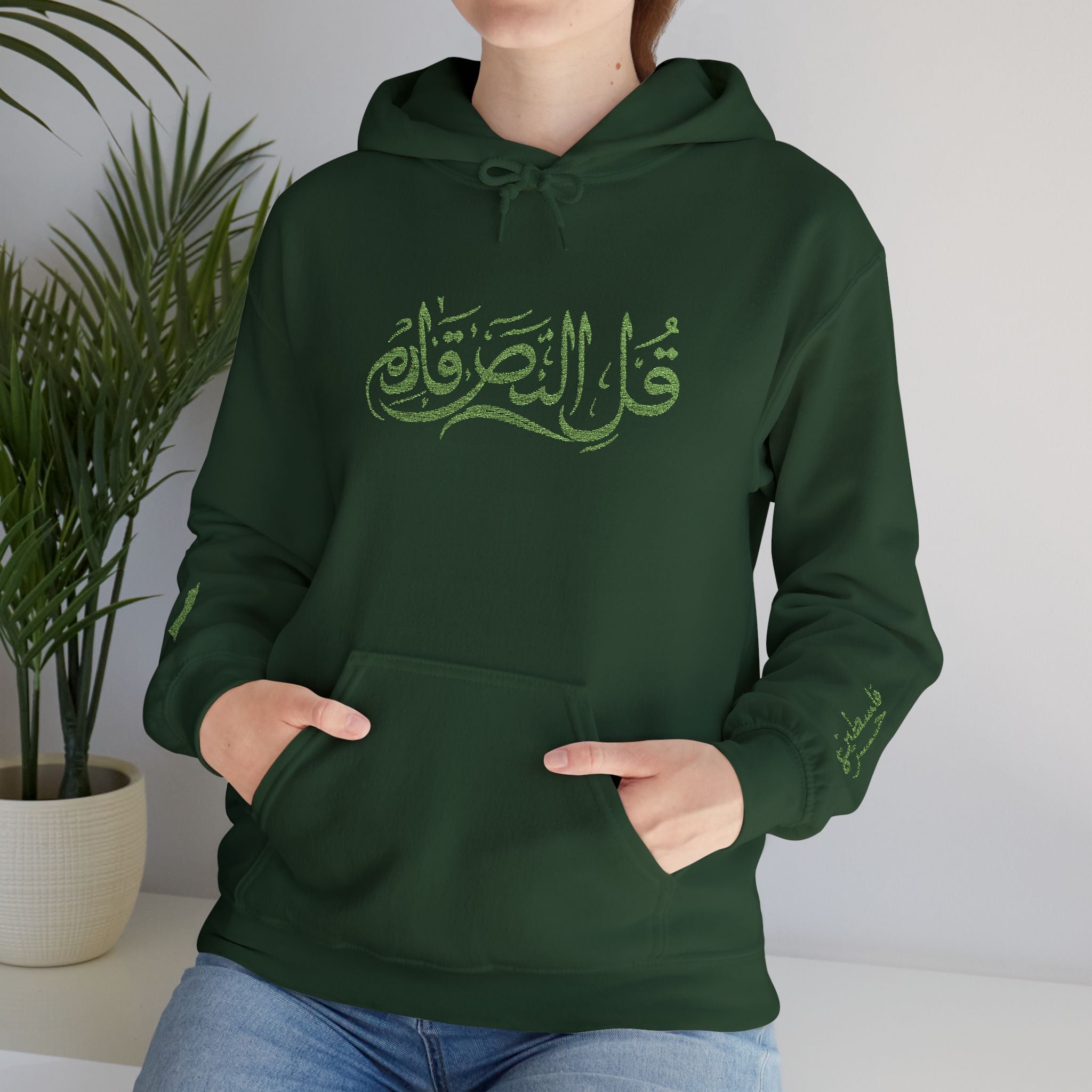 Say Victory's Near Hoodie | Arduna